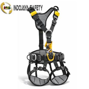 Petzl Astro Harness C083BB01 International Version