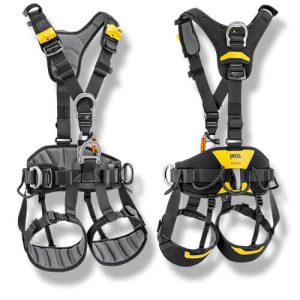 Petzl Avao Harness C071CB01 International